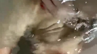 [3D][無字]危険な同居